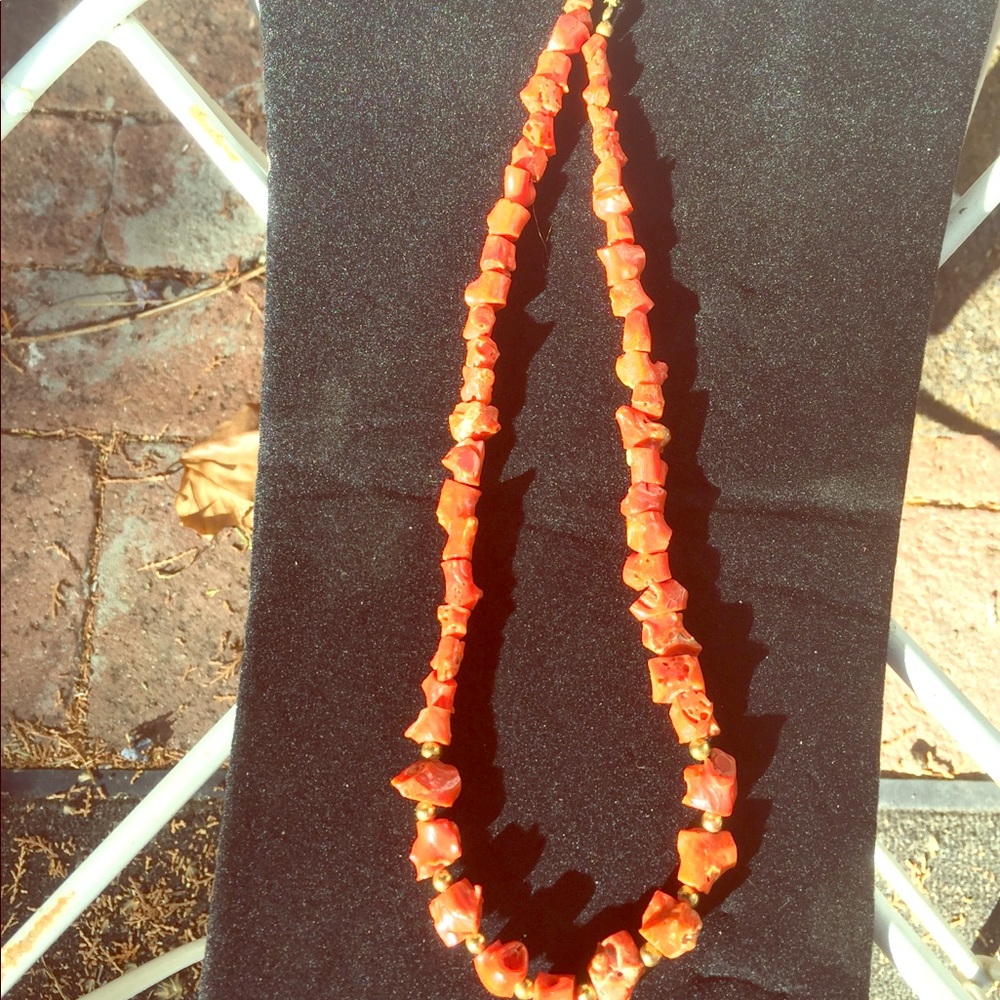 Antique Real Branch Coral